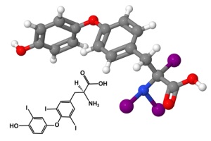 LIFEFORCE Hormone Treatment